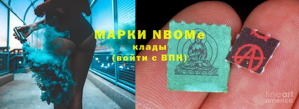 индика Верея