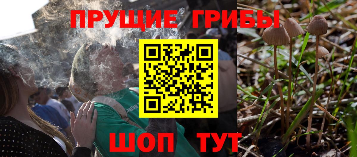Аргун  Галлюциногенные грибы GOLDEN TEACHER  Вход с VPN  Галлюциногенные грибы Psilocybe 