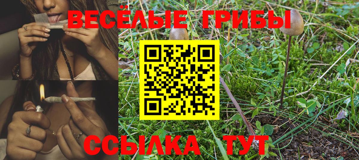 Гашиш  Каннабис  APVP СК кристаллы  Кокаин  Аргун  Меф МЯУ МЯУ кристаллы  Codein  Бошки Шишки  Меф МЯУ МЯУ кристаллы  Гашиш 