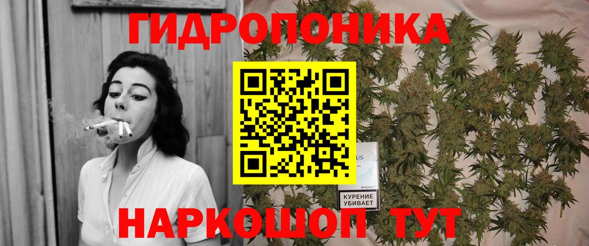 Шишки марихуана SATIVA & INDICA  Вход с VPN  Аргун  Каннабис LSD WEED 